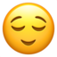 relieved-relieved face